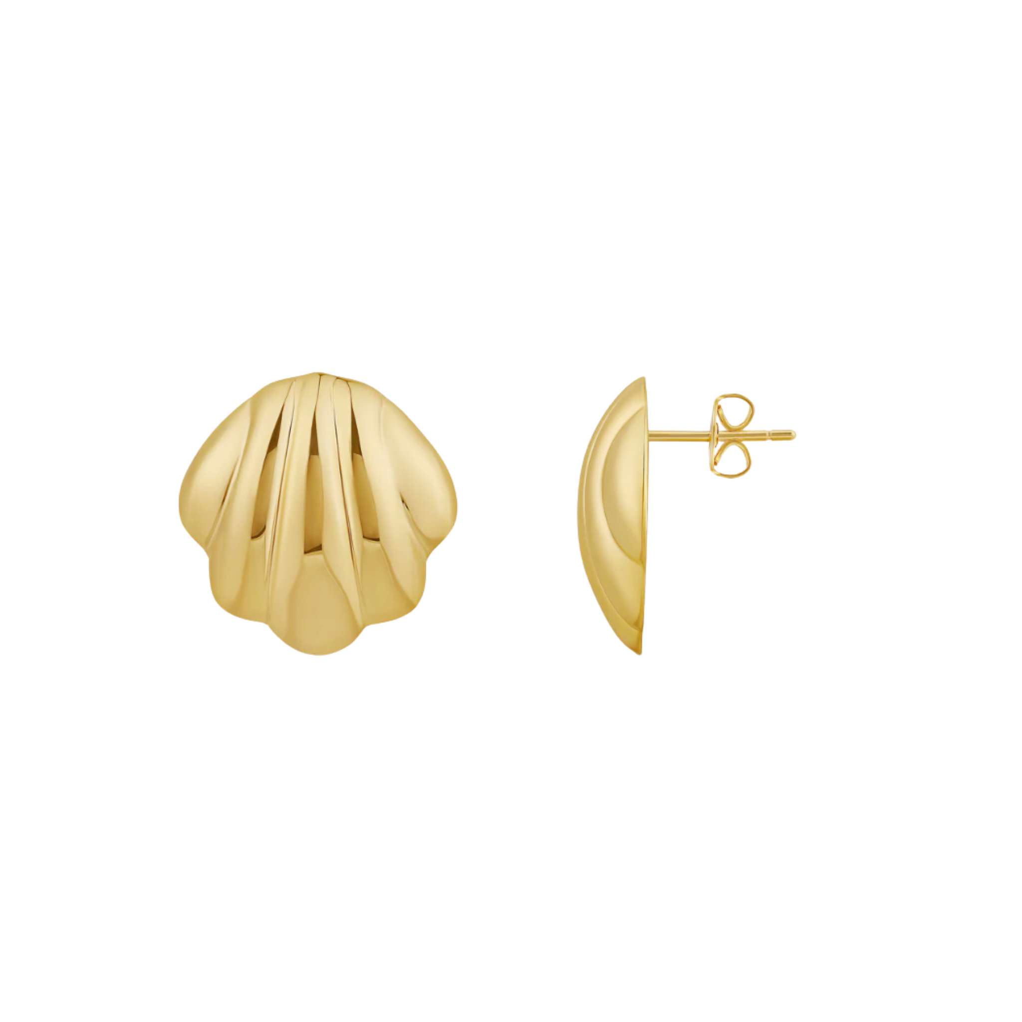 Aretes de conchas