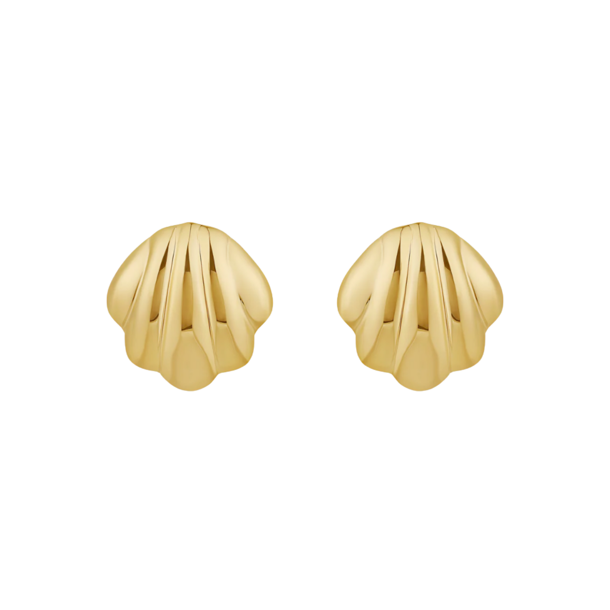 Aretes de conchas